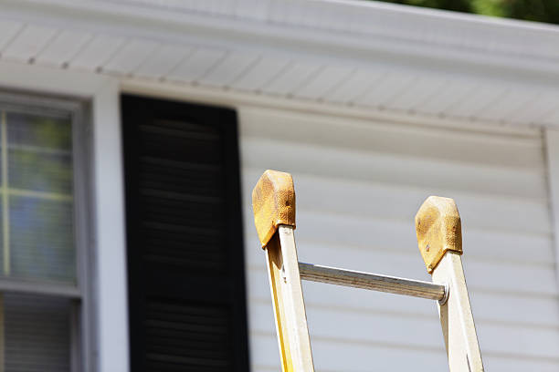 Best Basement Cleanout  in Tifton, GA